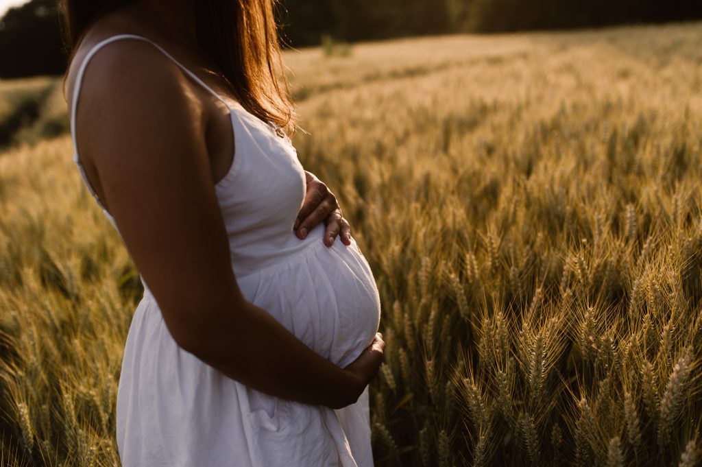 Portrait de grossesse avec les mains sur le ventre, dans un champ de blé
